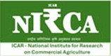 NIRCA Logo