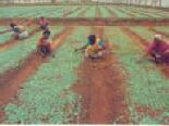 nursery1